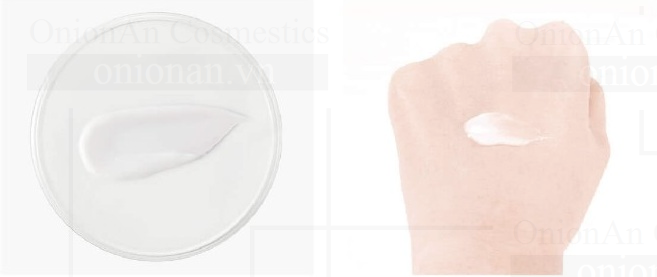 Kem Dưỡng Innisfree Green Tea Balancing Cream Ex